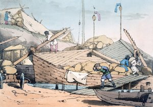 トウモロコシの樹皮、1803 作： John Augustus Atkinson